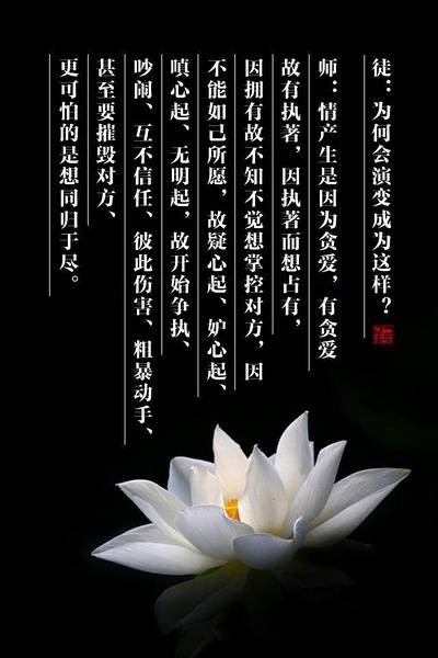 国产亚洲美日韩AV中文字幕无码成人