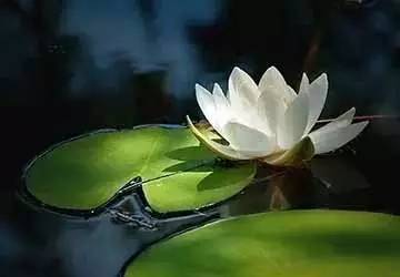 国产亚洲美日韩AV中文字幕无码成人