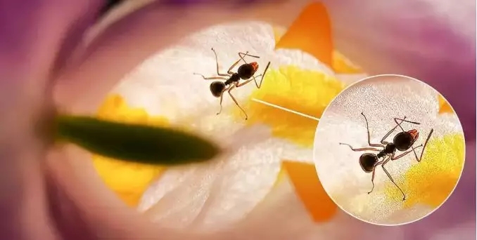 国产亚洲美日韩AV中文字幕无码成人