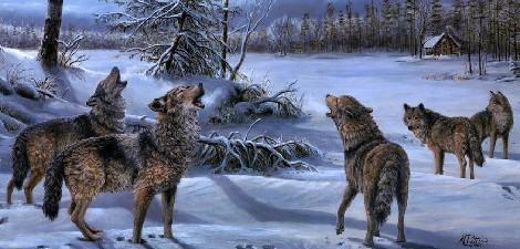 国产亚洲美日韩AV中文字幕无码成人