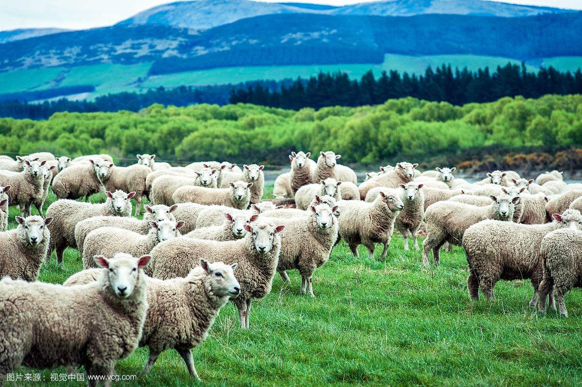 国产亚洲美日韩AV中文字幕无码成人