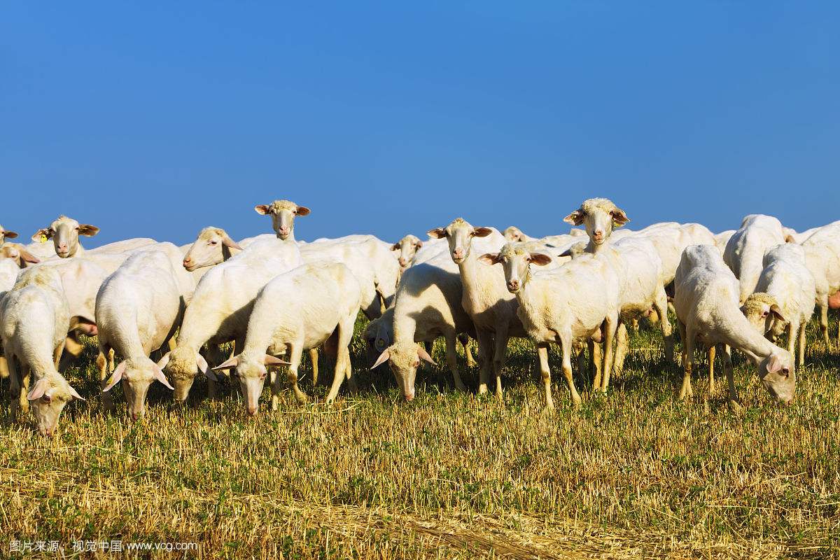 国产亚洲美日韩AV中文字幕无码成人